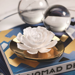 DREAM PORCELAIN FLOWER DIFFUSER:  WHITE ROSE